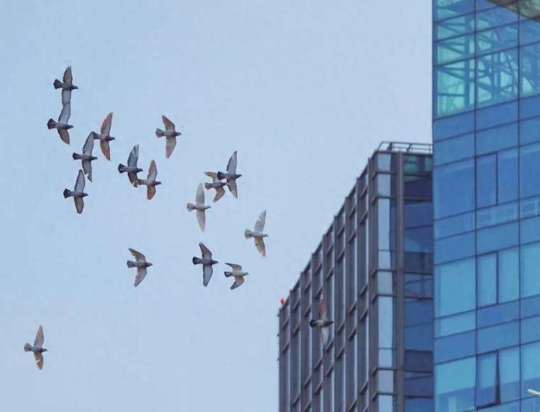 DeepSeek's Success Boosts China's AI Sector